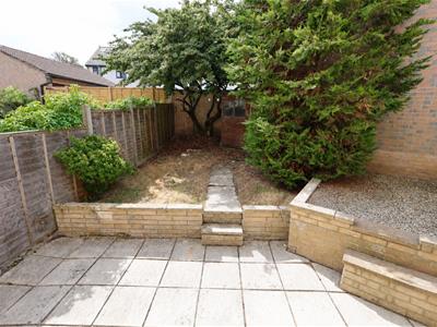 Picture 23